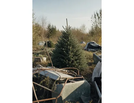 albero di natale