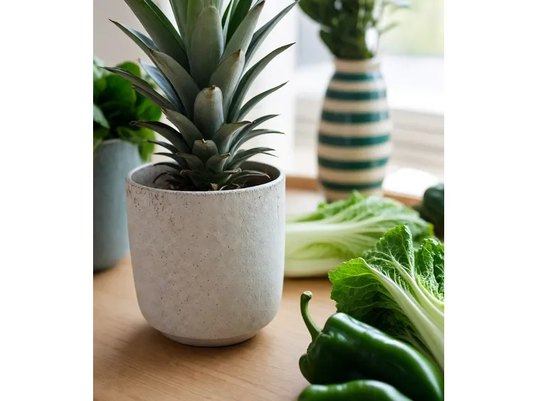 piante di Ananas