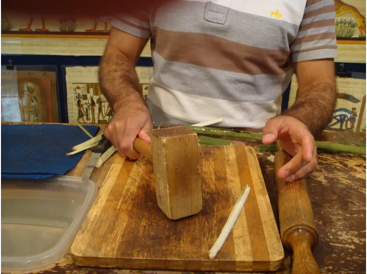 papiro fogli