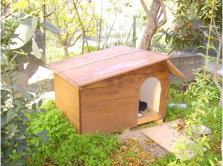 Un esempio di cuccia per cani in legno
