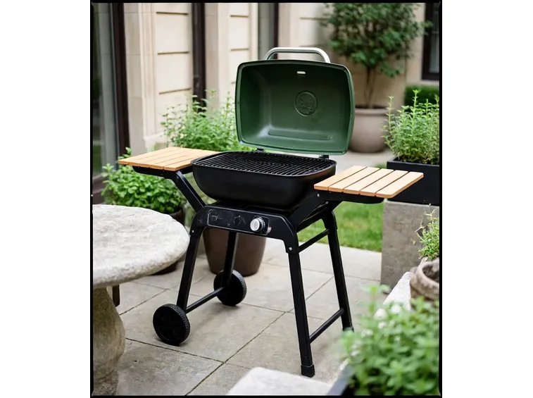 barbecue a legna