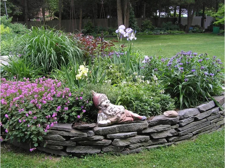 aiuola giardino