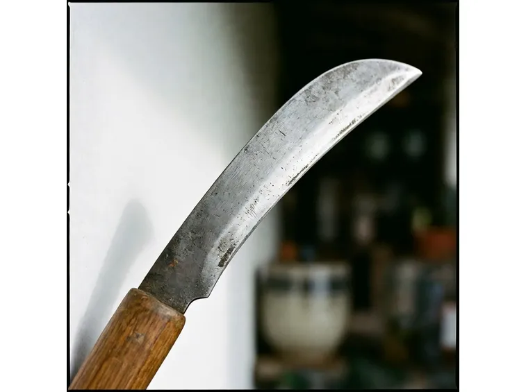 roncola
