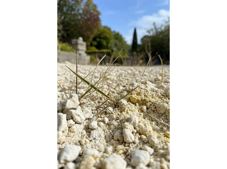 terreno calcareo