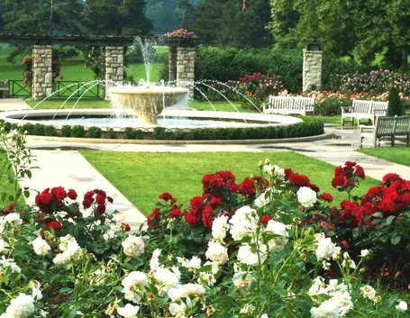 giardino