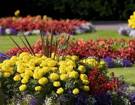 giardino