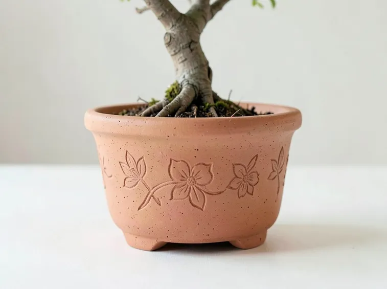 vaso in terracotta per bonsai