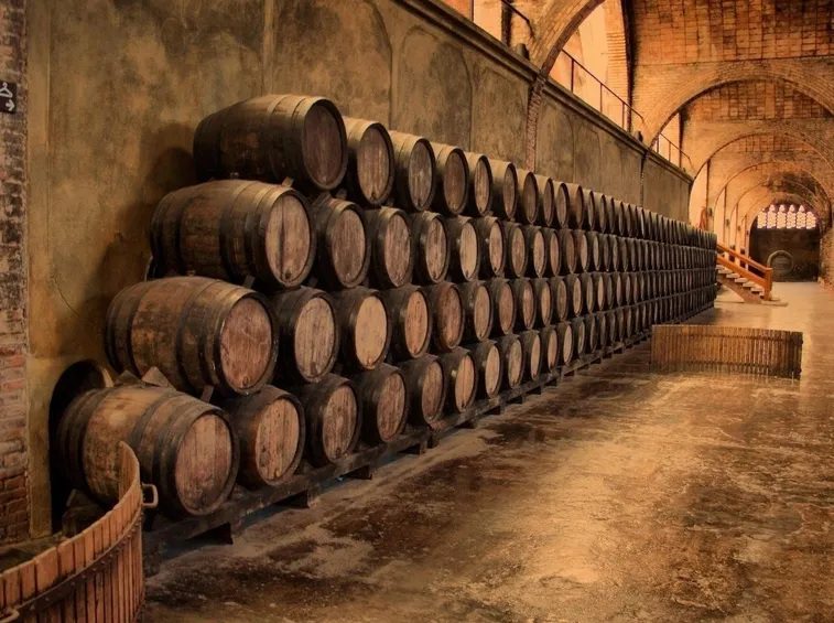 Attrezzi olio e vino