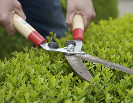 Forbice da giardinaggio manuale