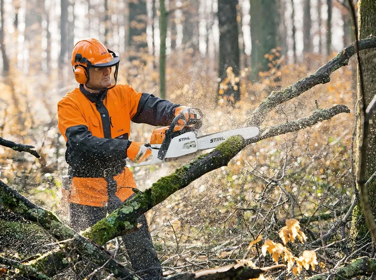 Sramatura con motosega Stihl