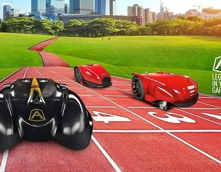 Un giardino su cui usare un robot tagliaerba