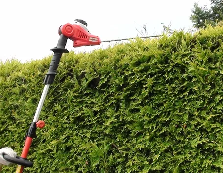 Tagliasiepi elettrico telescopico