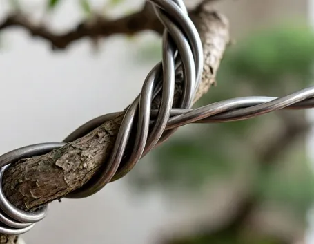 Filo metallico su bonsai