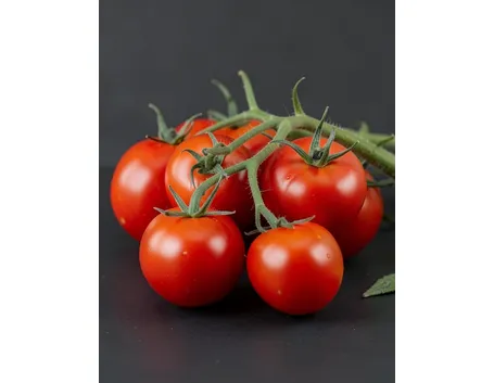 fosforo pomodori