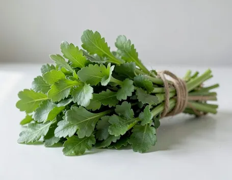rucola