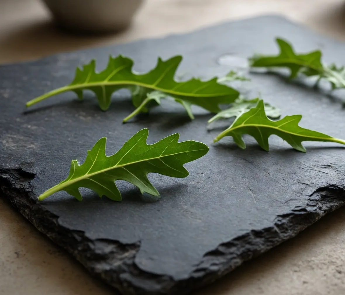 rucola