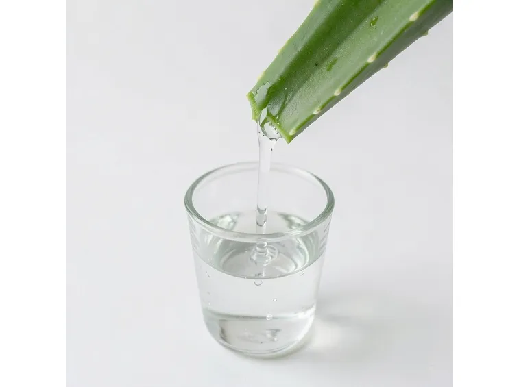 succo aloe