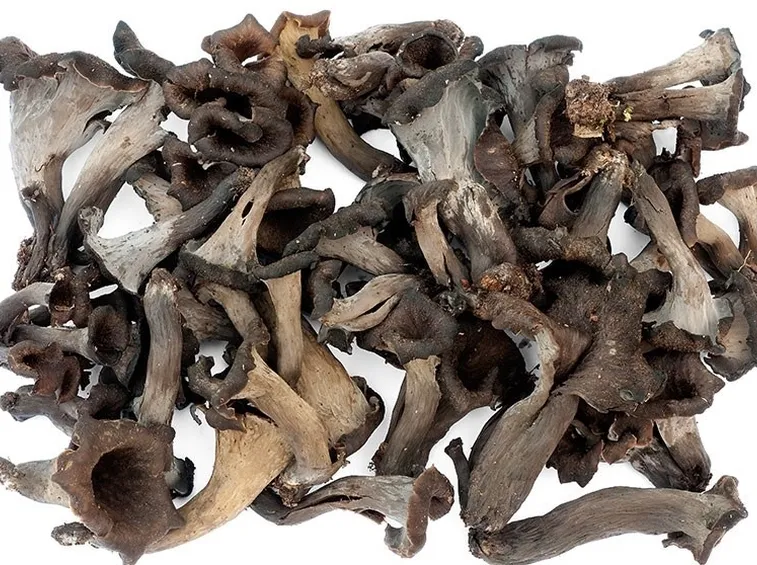 Esemplari essiccati di Craterellus cornucopioides