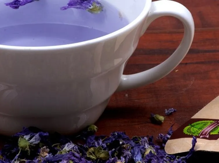 infuso malva