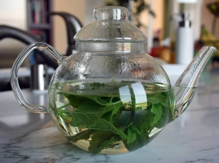 infuso melissa