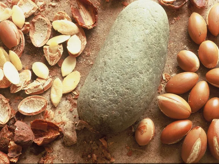 argan