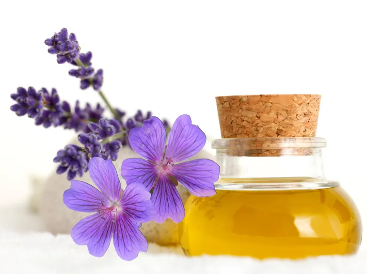 olio essenziale lavanda