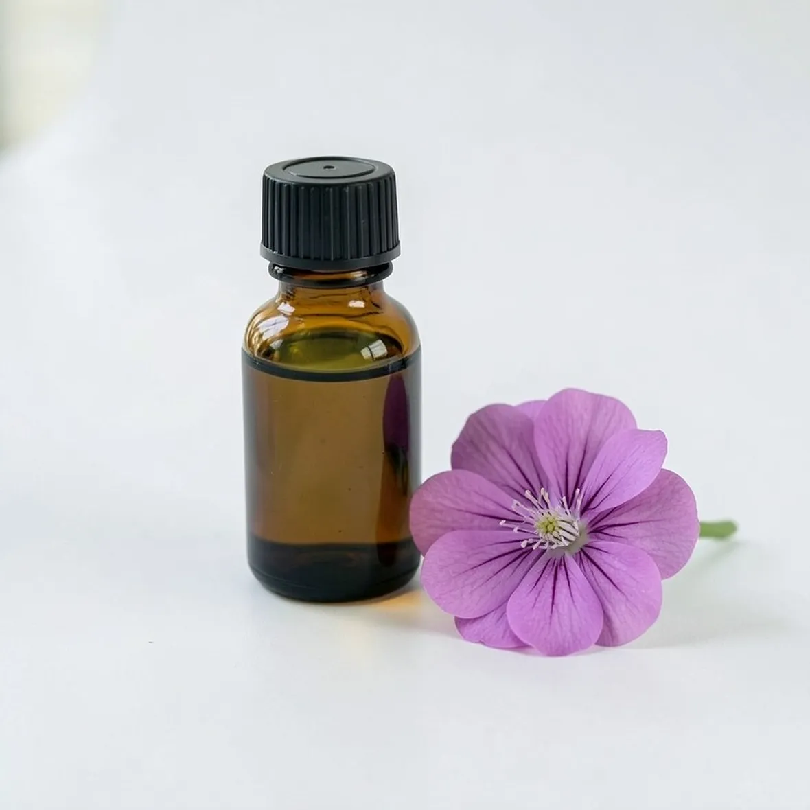 olio geranio