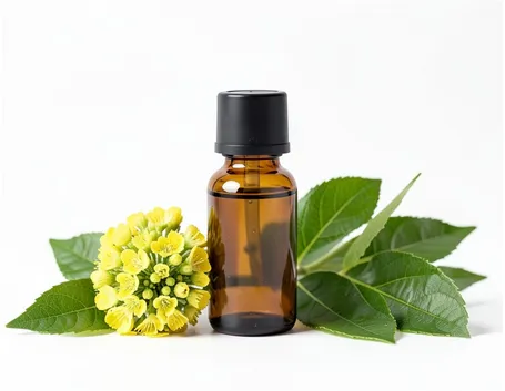 Ylang ylang olio essenziale 