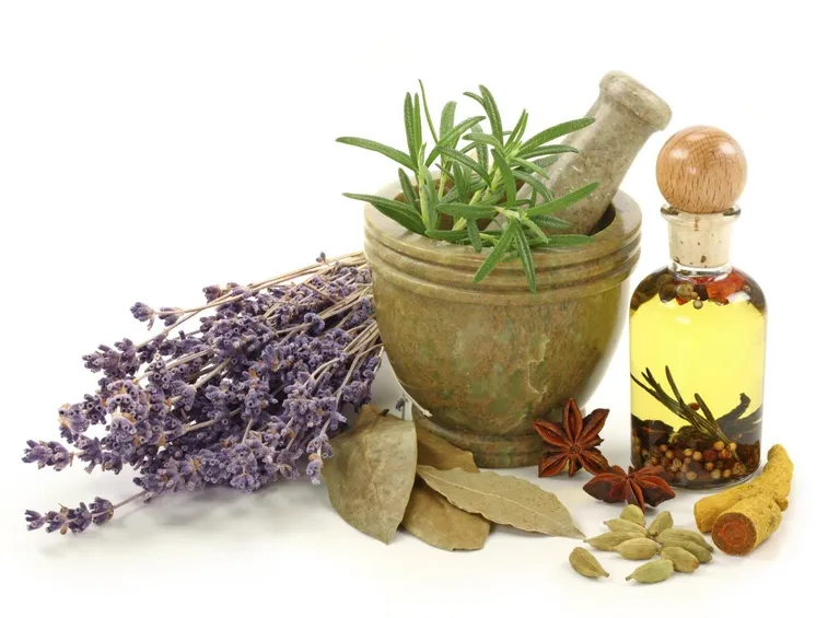 alcune basi per le medicine omeopatiche