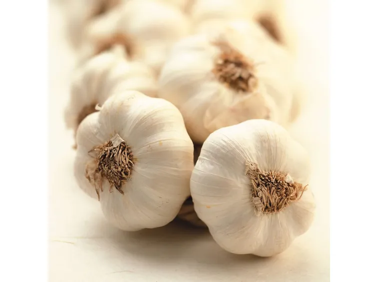 aglio