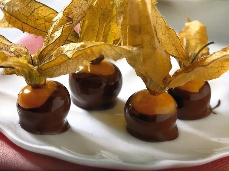 alchechengi al cioccolato
