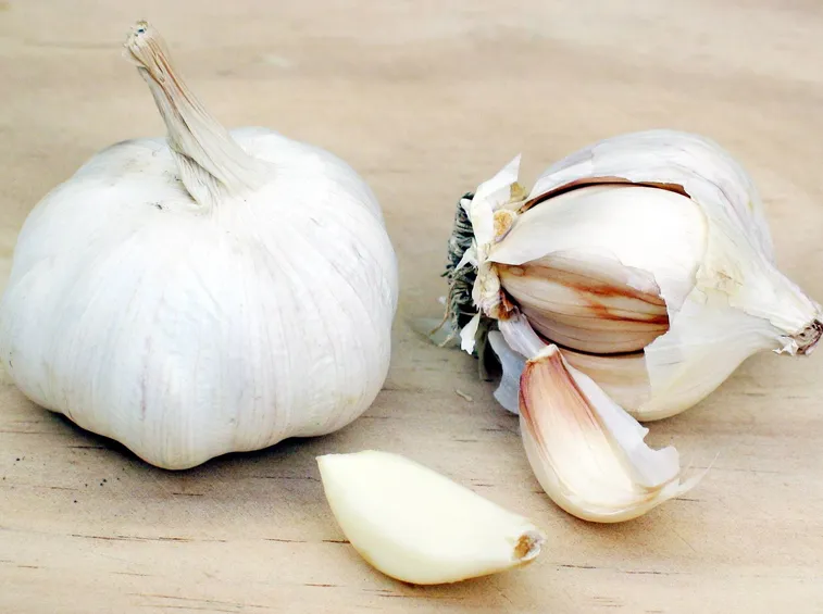 aglio