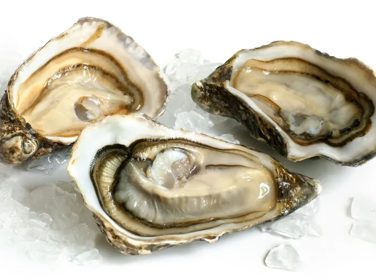 Ostriche