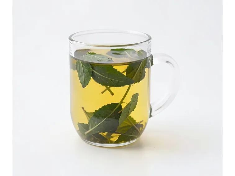 infuso gynostemma pentaphyllum 