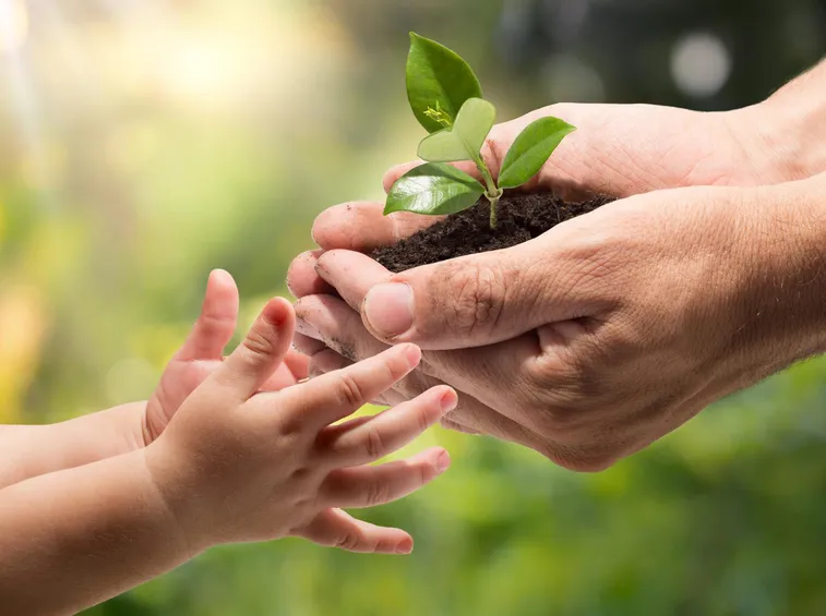 piante per bambini