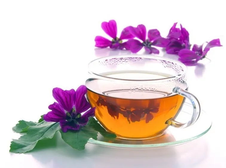 Infuso di Malva