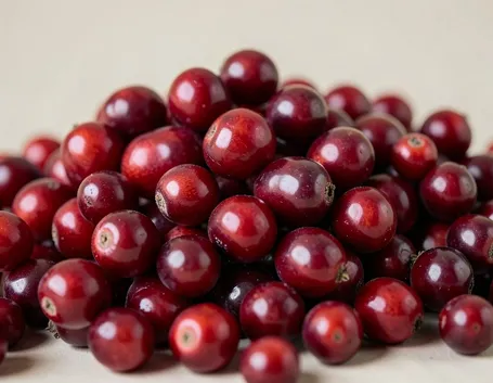 mirtillo rosso