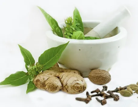 Piante Officinali