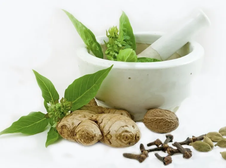 Piante Officinali