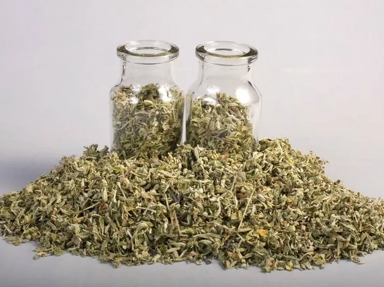 La Damiana nella fitoterapia