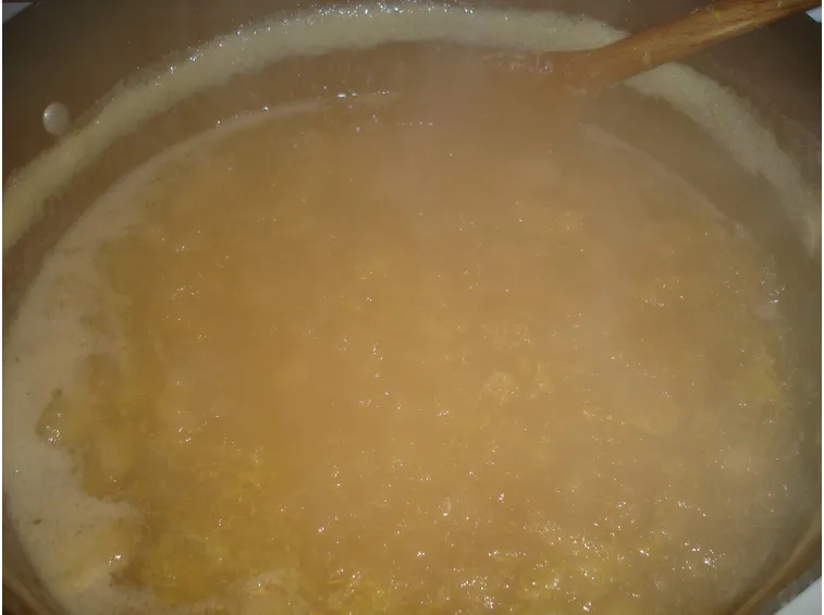 succo di mela