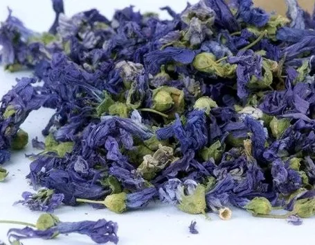 Malva tisana