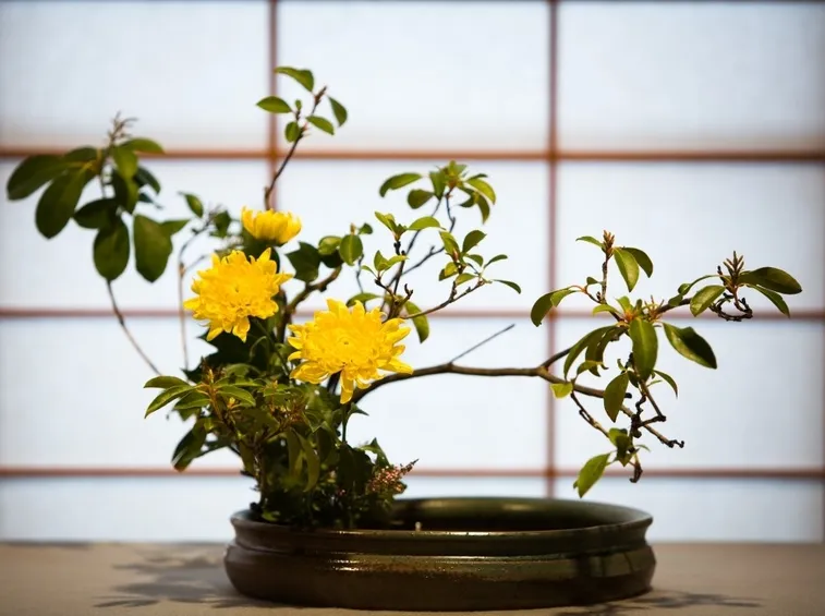 ikebana
