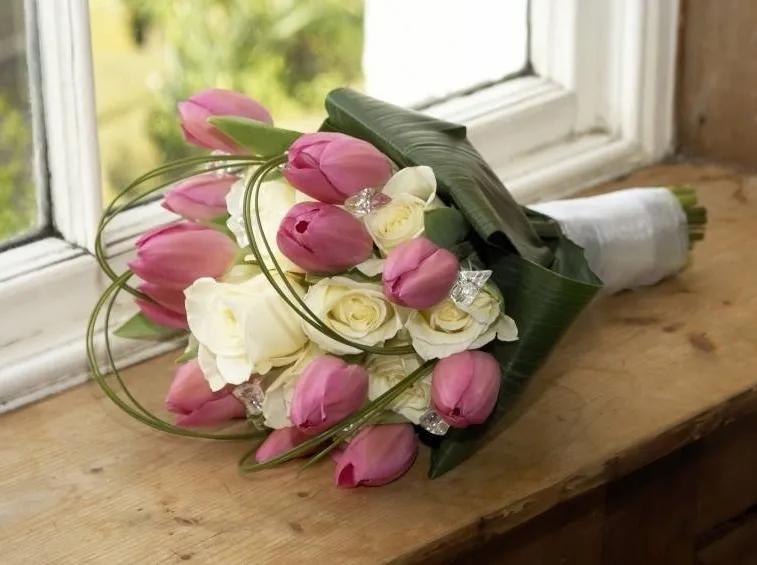 tulipani