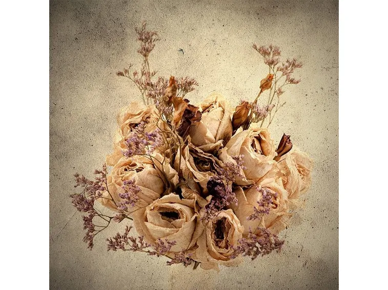 fiori secchi