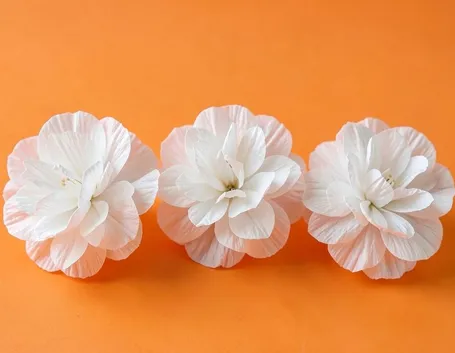 fiori di carta crespa
