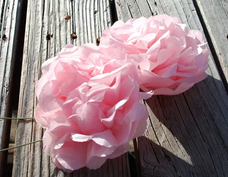 fiori di carta