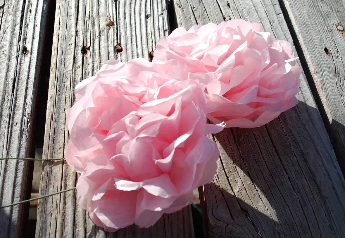fiori di carta
