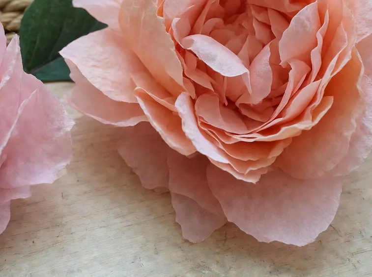 fiori di carta velina