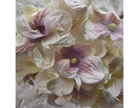fiori di carta